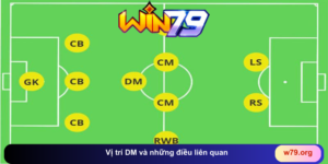 Vị trí DM và những điều liên quan 