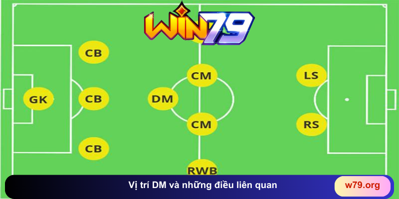 Vị trí DM và những điều liên quan 