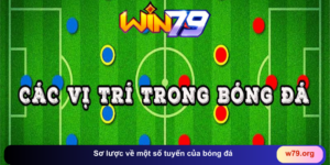 Sơ lược về một số tuyến của bóng đá