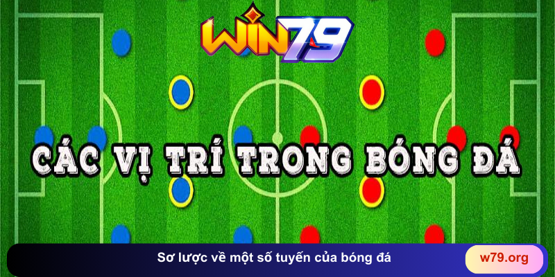 Sơ lược về một số tuyến của bóng đá