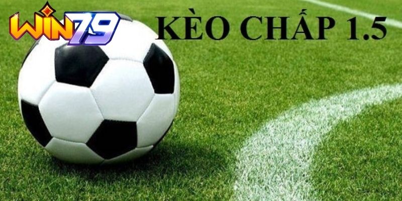 Hình ảnh minh họa cụ thể