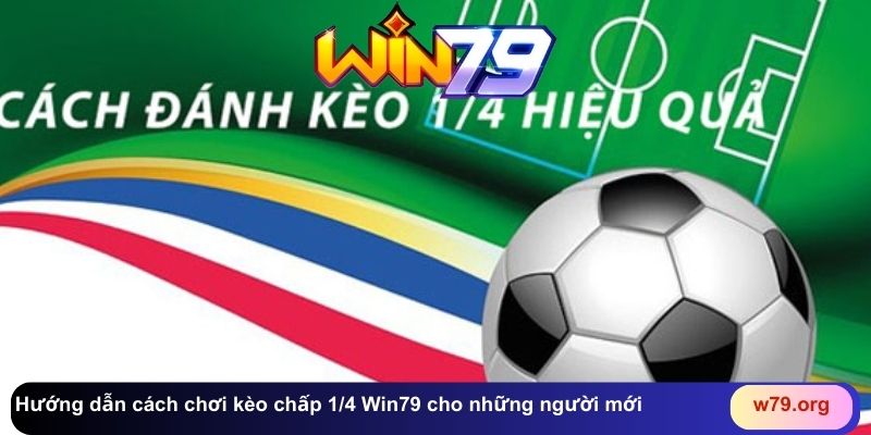 Hướng dẫn cách chơi kèo chấp 1/4 Win79 cho những người mới