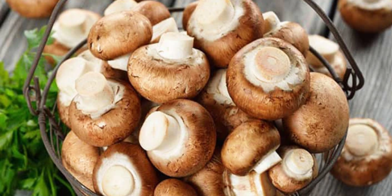 Thấy những cây nấm màu trắng