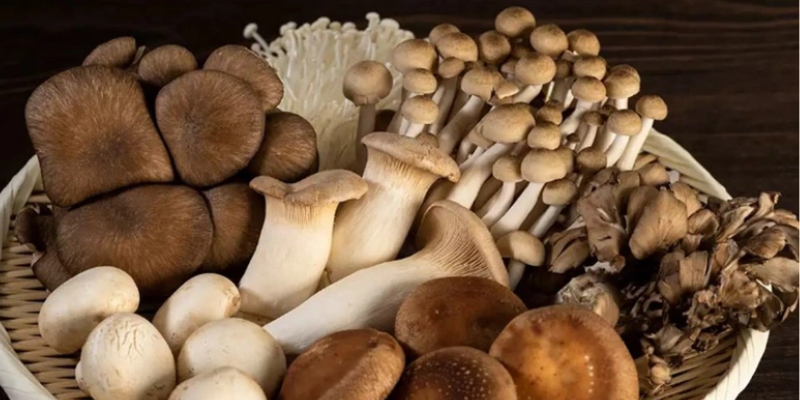 Giấc mơ thấy nấm là điềm báo gì?